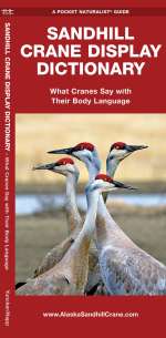 Sandhill Crane Display Dictionary - Pocket Guide