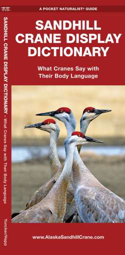 Sandhill Crane Display Dictionary