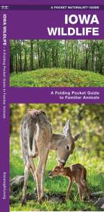 Iowa Wildlife - Pocket Guide
