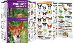 Mississippi Wildlife