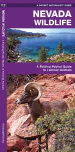 Nevada Wildlife - Pocket Guide