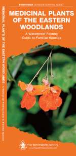 Medicinal Plants of the Eastern Woodlands - Pocket Guide