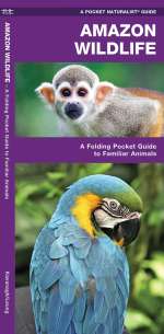 Amazon Wildlife - Pocket Guide