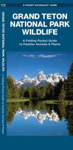 Grand Teton National Park Wildlife - Pocket Guide