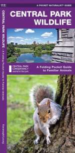 Central Park Wildlife - Pocket Guide