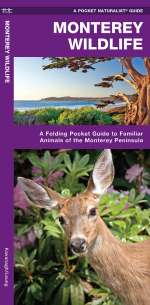 Monterey Wildlife - Pocket Guide