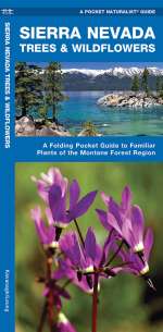 Sierra Nevada Trees & Wildflowers - Pocket Guide