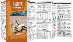 Animal Skulls & Bones DuraGuide