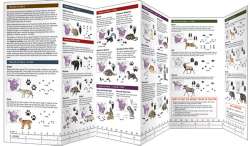 Animal Tracking