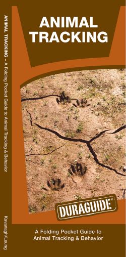 Animal Tracking