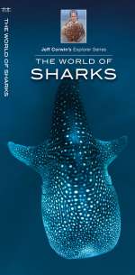 The World of Sharks - Pocket Guide