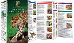 The World of Wild Cats