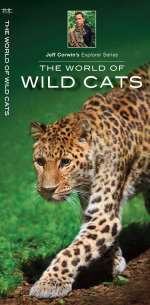 The World of Wild Cats - Pocket Guide