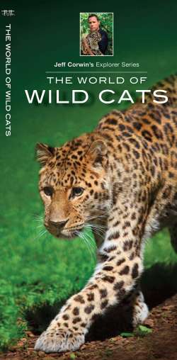 The World of Wild Cats