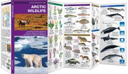 Arctic Wildlife