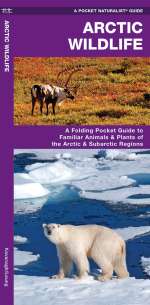 Arctic Wildlife - Pocket Guide