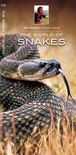 The World of Snakes - Pocket Guide