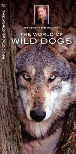 The World of Wild Dogs