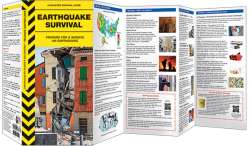 Earthquake Survival