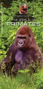 The World of Primates - Pocket Guide