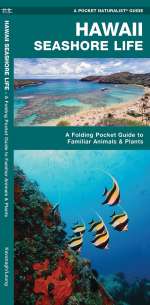 Hawaii Seashore Life - Pocket Guide