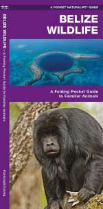 Belize Wildlife - Pocket Guide