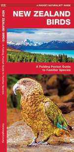 New Zealand Birds - Pocket Guide