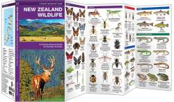 New Zealand Wildlife
