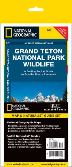 Grand Teton National Park Adventure Set