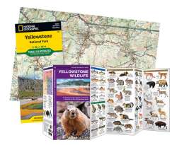 Yellowstone National Park Adventure Set