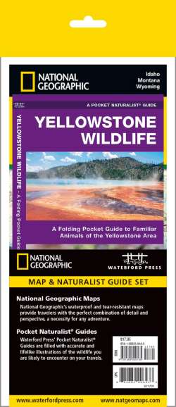 Yellowstone National Park Adventure Set