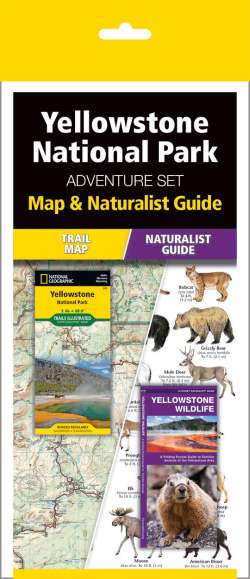 Yellowstone National Park Adventure Set