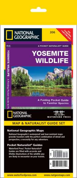 Yosemite National Park Adventure Set