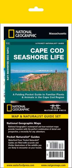 Cape Cod Adventure Set