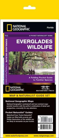 Everglades National Park Adventure Set