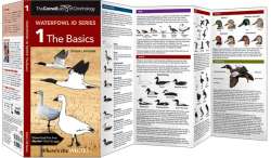 Waterfowl ID Series