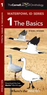 Waterfowl ID Series: 1 The Basics - Pocket Guide