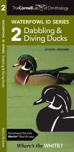 Waterfowl ID Series: 2 Dabbling & Diving Ducks - Pocket Guide