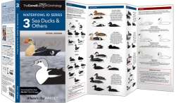 The Cornell Lab of Ornithology Waterfowl ID 3 Sea Ducks & Others