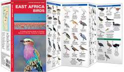 East Africa Birds