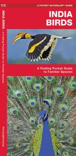 India Birds - Pocket Guide