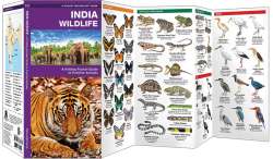 India Wildlife