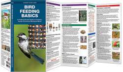 Bird Feeding Basics