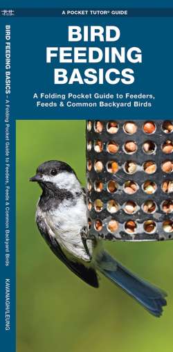 Bird Feeding Basics