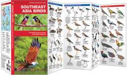 Southeast Asia Birds