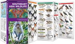 Southeast Asia Wildlife