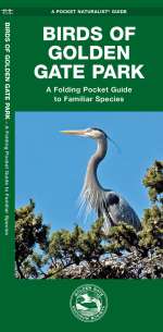 Birds of Golden Gate Park - Pocket Guide