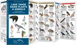 Lake Tahoe Basin Plants & Animals