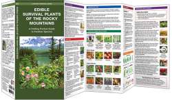 Edible Survival Plants of the Rocky Mountains