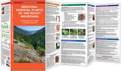 Medicinal Survival Plants of the Rocky Mountains